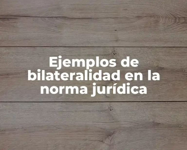Ejemplos de bilateralidad en la norma jurídica