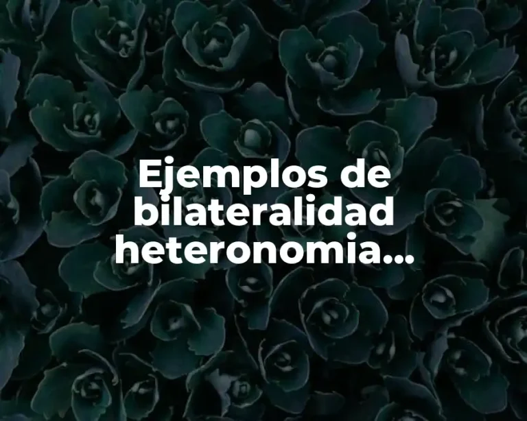 Ejemplos de bilateralidad heteronomia exterioridad coercibilidad