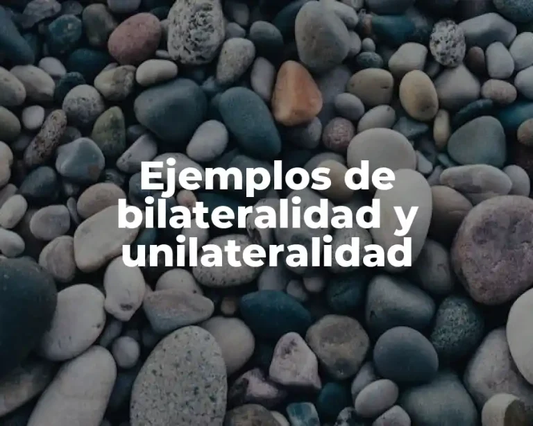 Ejemplos de bilateralidad y unilateralidad