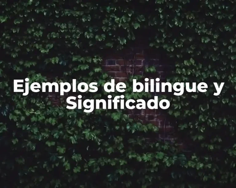 Ejemplos de bilingue y Significado
