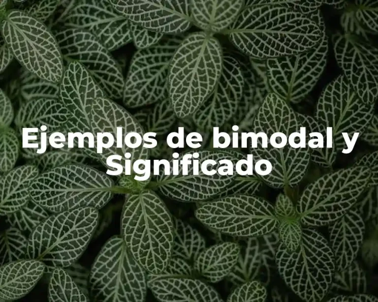Ejemplos de bimodal y Significado