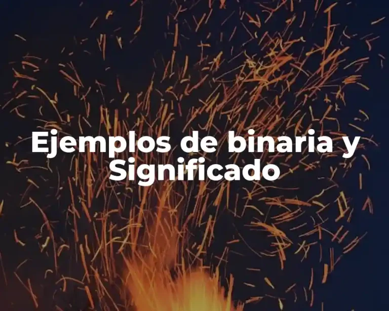 Ejemplos de binaria y Significado