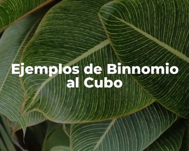Ejemplos de Binnomio al Cubo