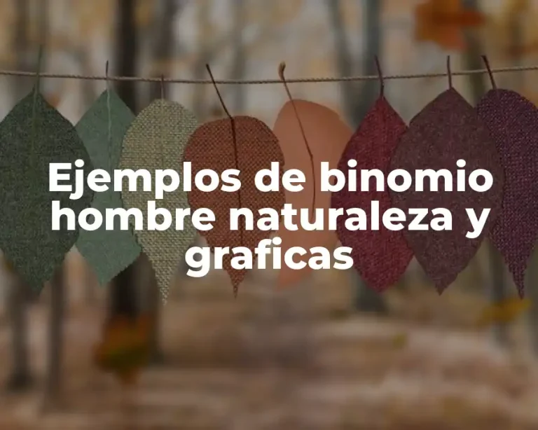 Ejemplos de binomio hombre naturaleza y graficas