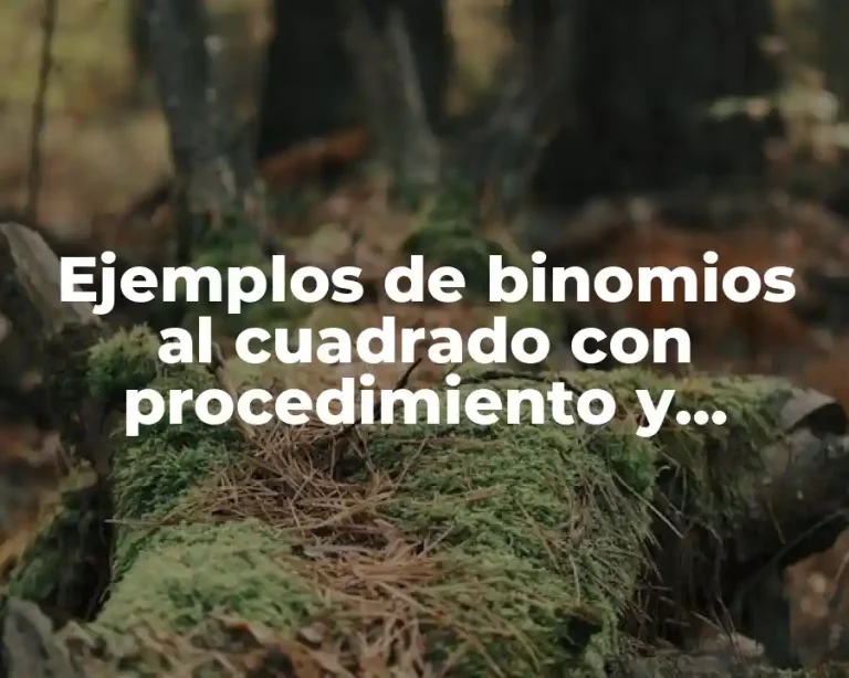 Ejemplos de binomios al cuadrado con procedimiento y Significado