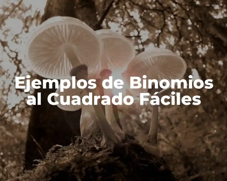 Ejemplos de Binomios al Cuadrado Fáciles