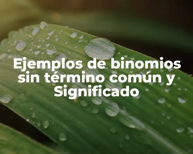 Ejemplos de binomios sin término común y Significado