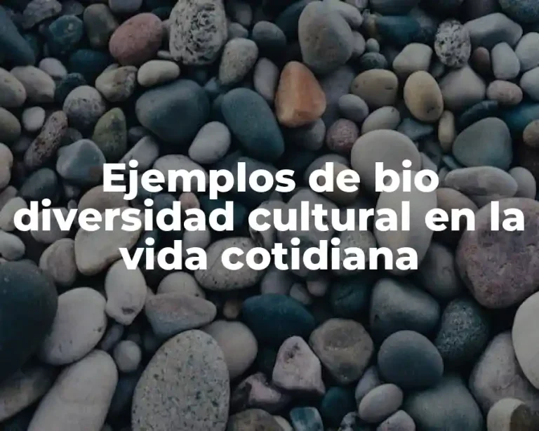 Ejemplos de bio diversidad cultural en la vida cotidiana