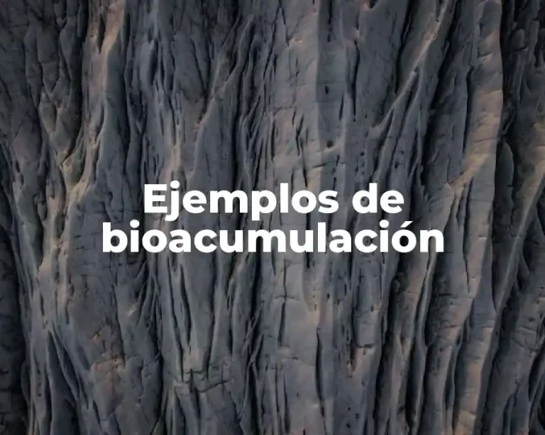 Ejemplos de bioacumulación