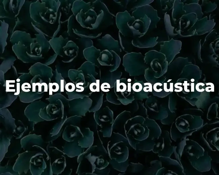 Ejemplos de bioacústica