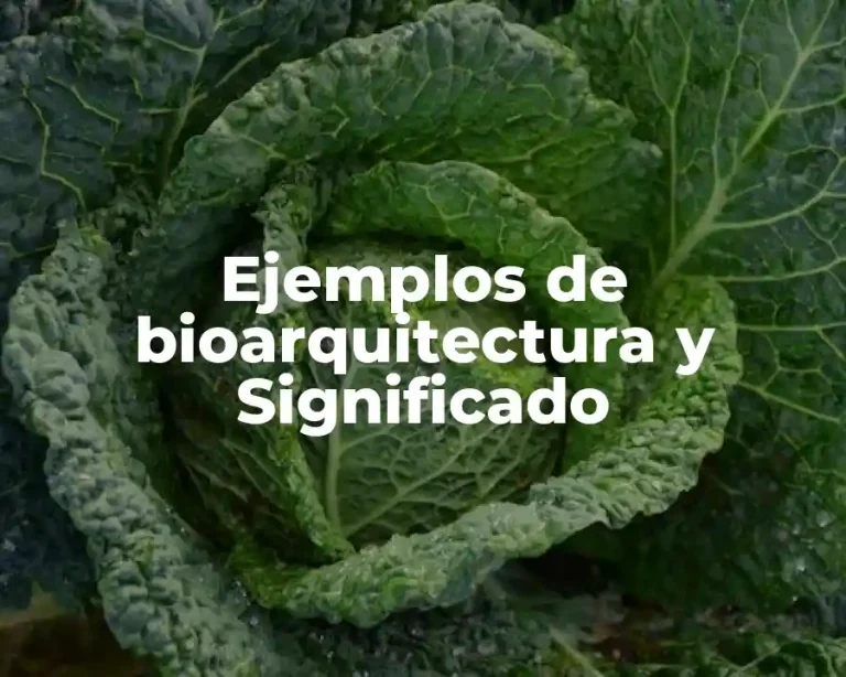 Ejemplos de bioarquitectura y Significado