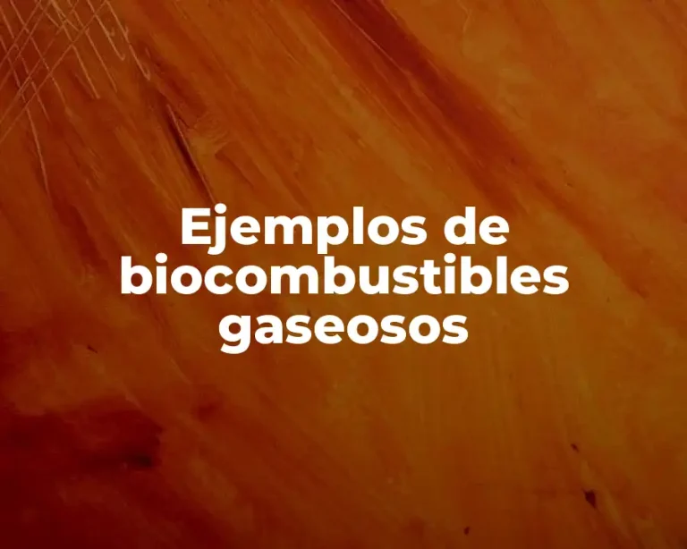 Ejemplos de biocombustibles gaseosos
