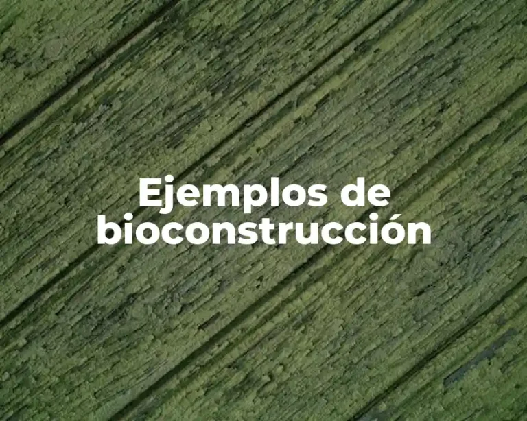 Ejemplos de bioconstrucción