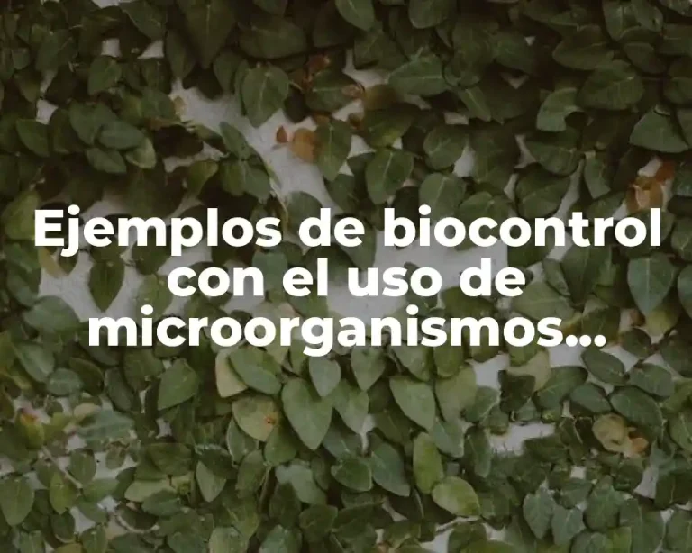 Ejemplos de biocontrol con el uso de microorganismos antagónicos