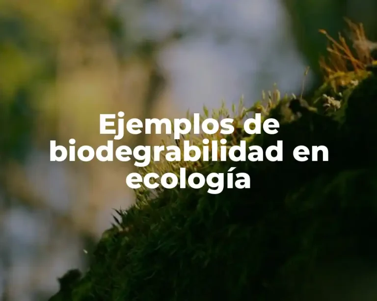 Ejemplos de biodegrabilidad en ecología