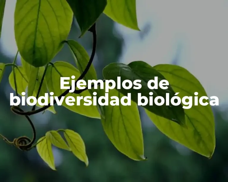 Ejemplos de biodiversidad biológica