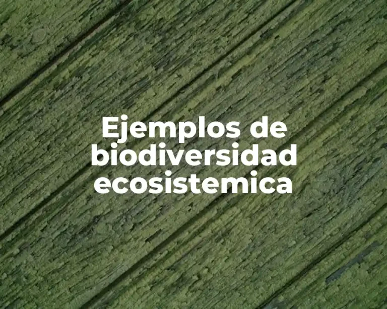 Ejemplos de biodiversidad ecosistemica