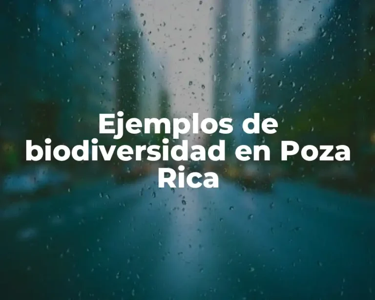 Ejemplos de biodiversidad en Poza Rica