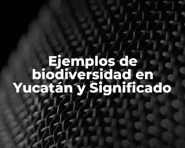 Ejemplos de biodiversidad en Yucatán y Significado