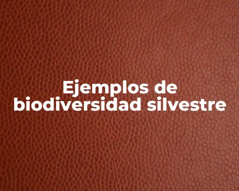 Ejemplos de biodiversidad silvestre