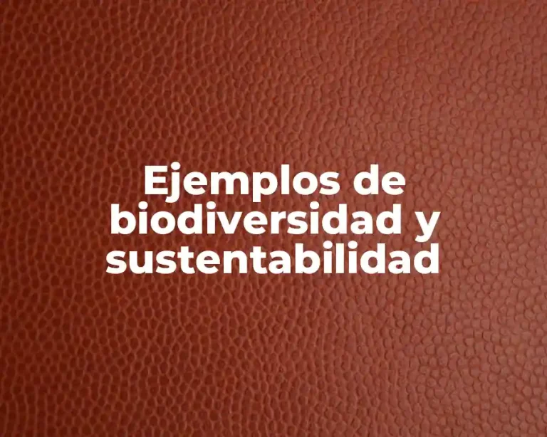 Ejemplos de biodiversidad y sustentabilidad