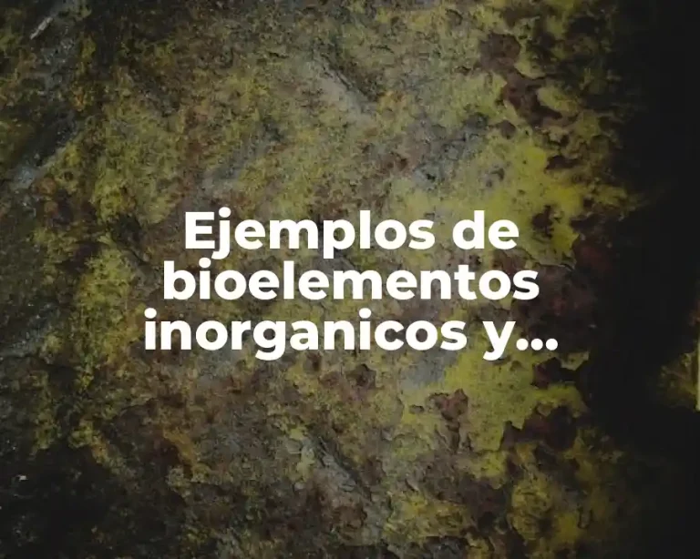Ejemplos de bioelementos inorganicos y Significado