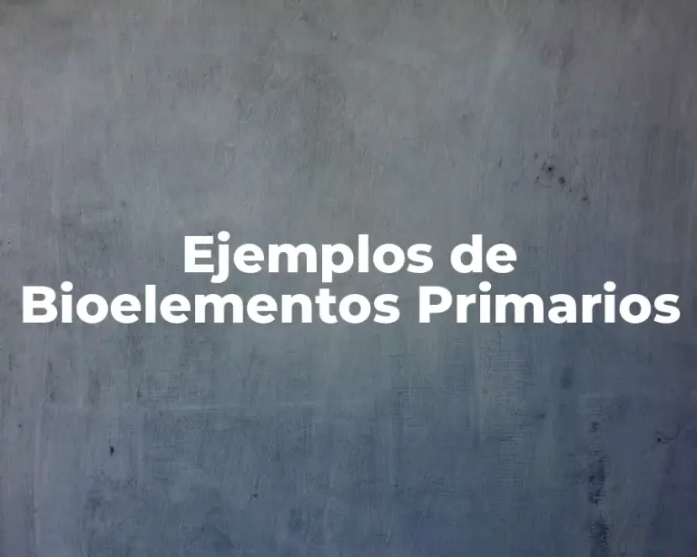 Ejemplos de Bioelementos Primarios