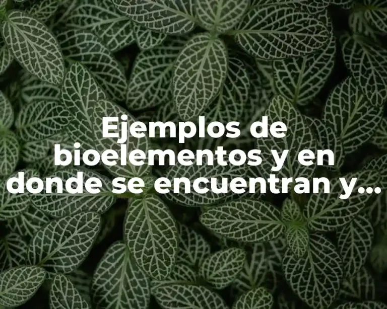 Ejemplos de bioelementos y en donde se encuentran y Significado