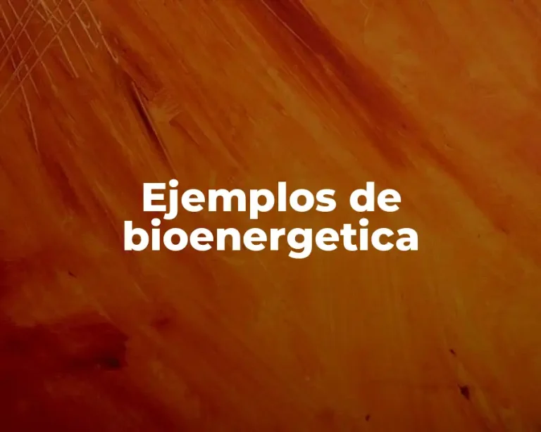 Ejemplos de bioenergetica