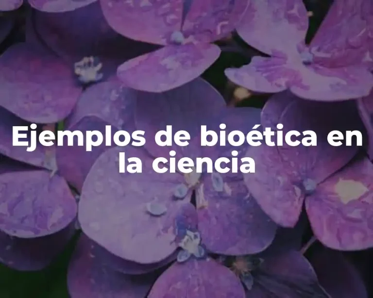 Ejemplos de bioética en la ciencia