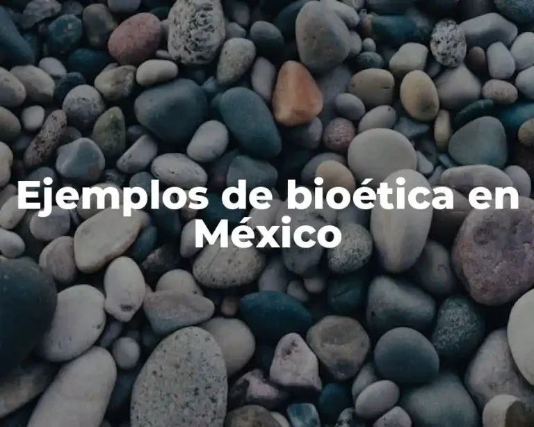 Ejemplos de bioética en México