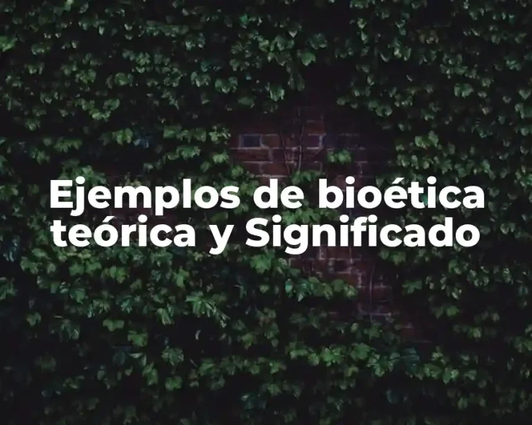 Ejemplos de bioética teórica y Significado