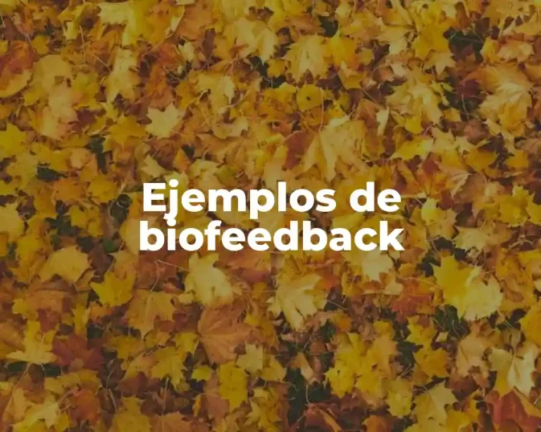 Ejemplos de biofeedback