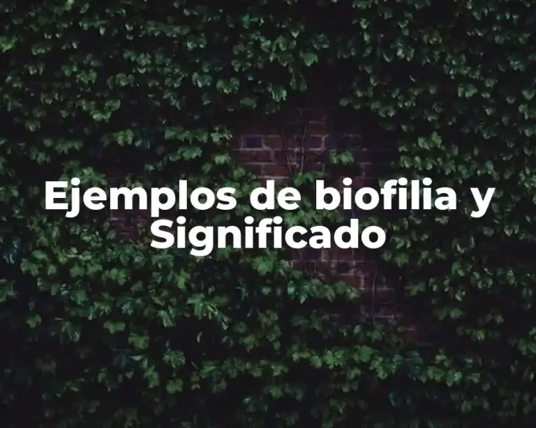 Ejemplos de biofilia y Significado