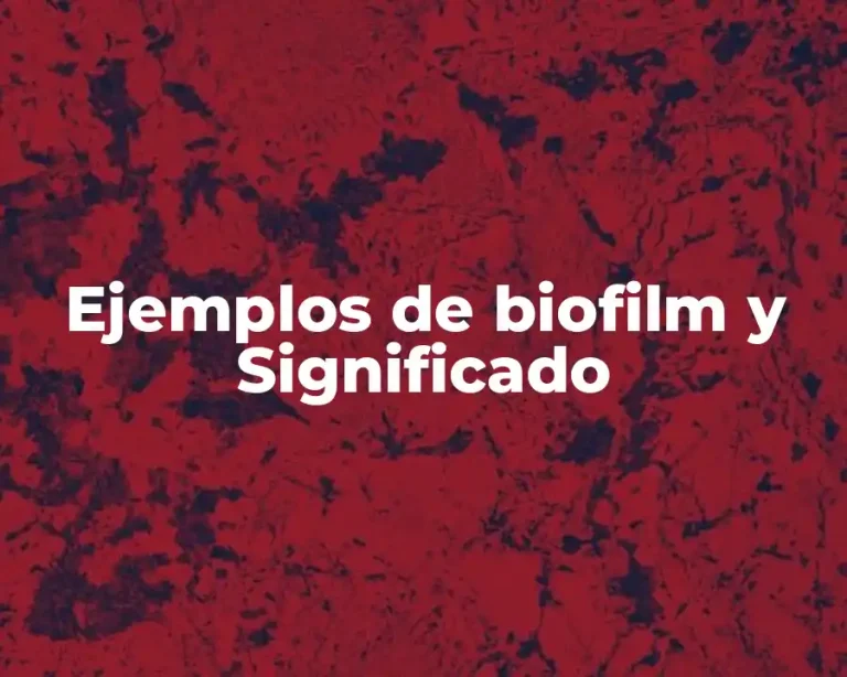 Ejemplos de biofilm y Significado