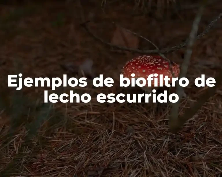 Ejemplos de biofiltro de lecho escurrido