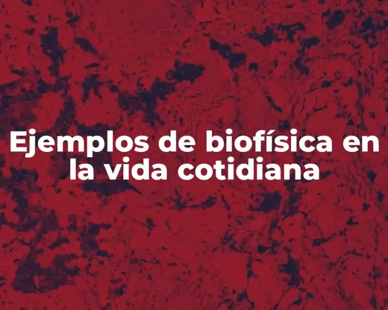 Ejemplos de biofísica en la vida cotidiana