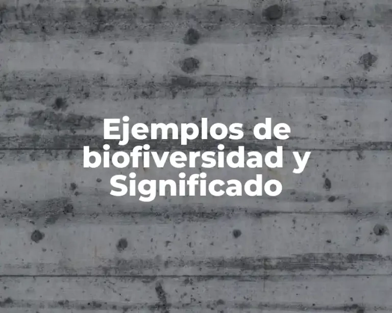 Ejemplos de biofiversidad y Significado