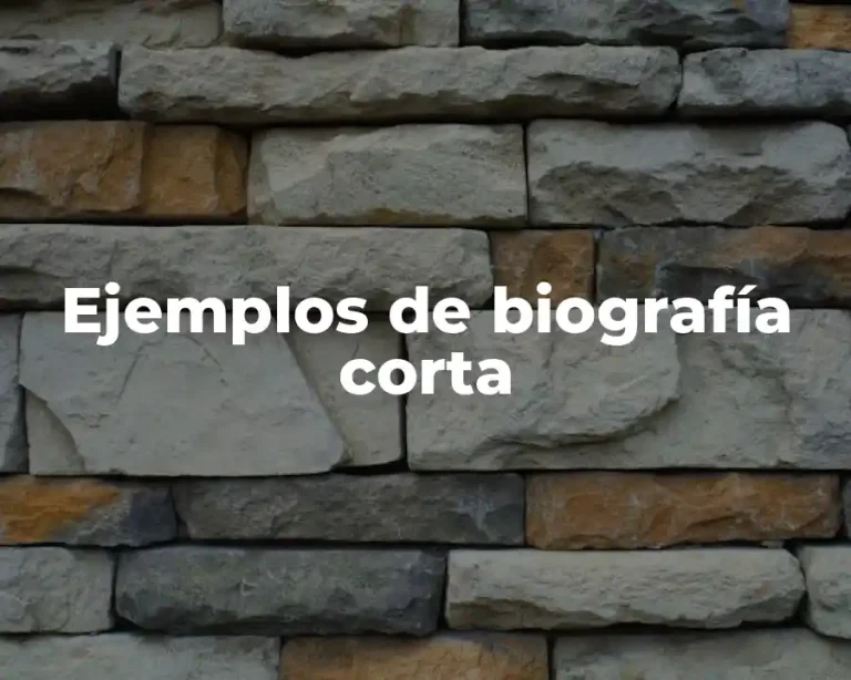 Ejemplos de biografía corta