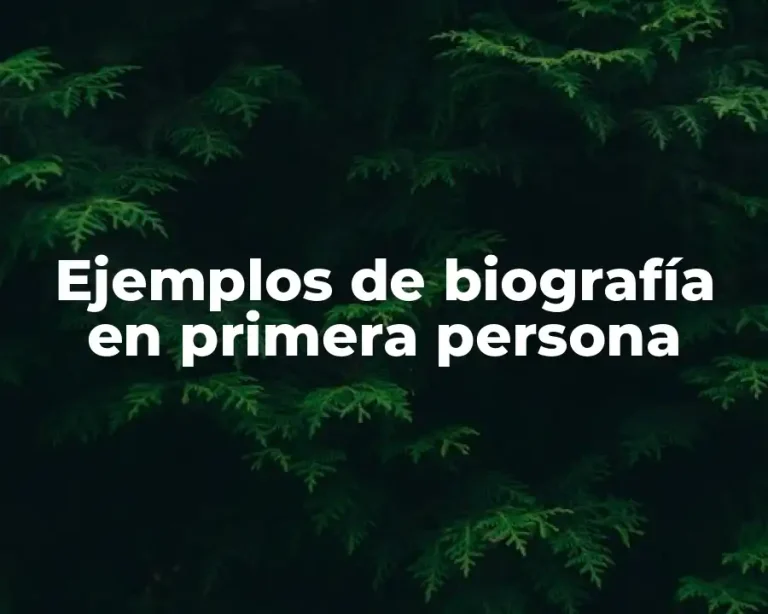 Ejemplos de biografía en primera persona