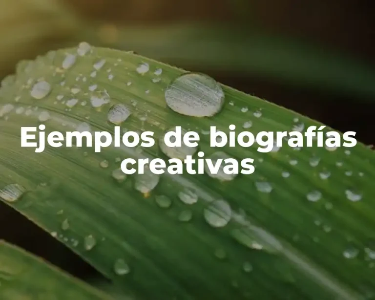 Ejemplos de biografías creativas