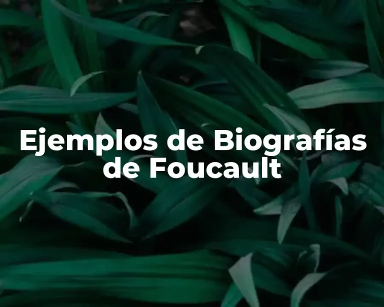 Ejemplos de Biografías de Foucault