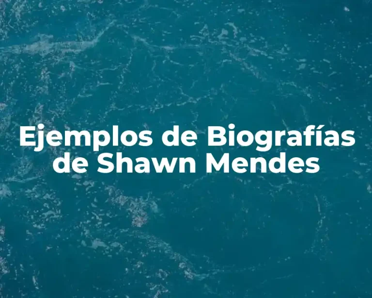 Ejemplos de Biografías de Shawn Mendes