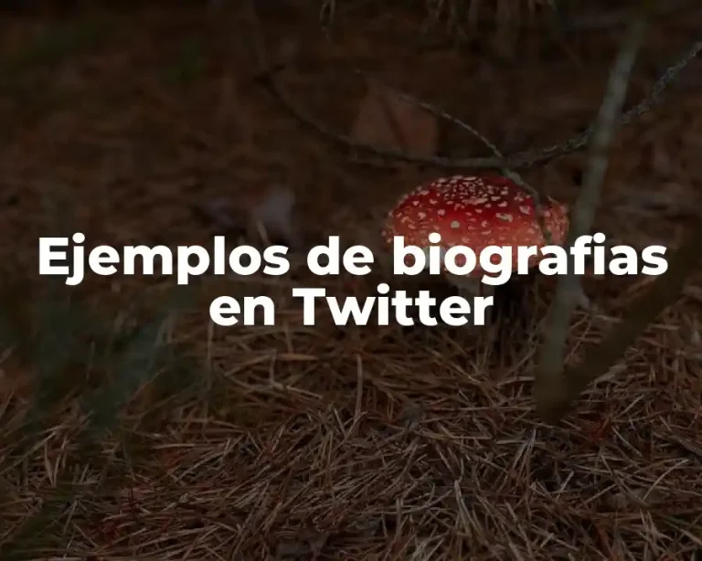 Ejemplos de biografias en Twitter