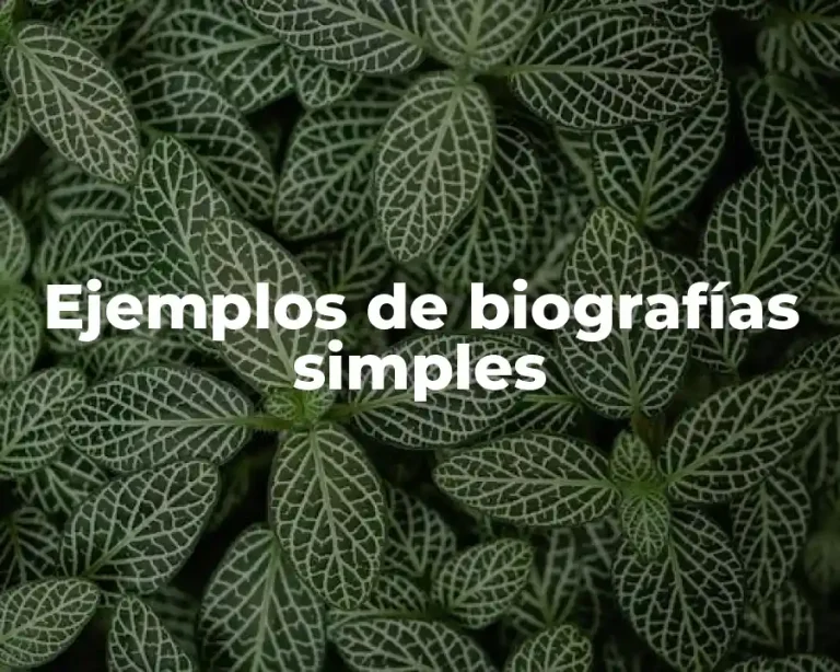 Ejemplos de biografías simples