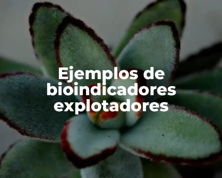 Ejemplos de bioindicadores explotadores