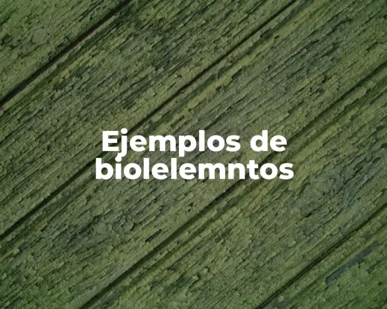 Ejemplos de biolelemntos