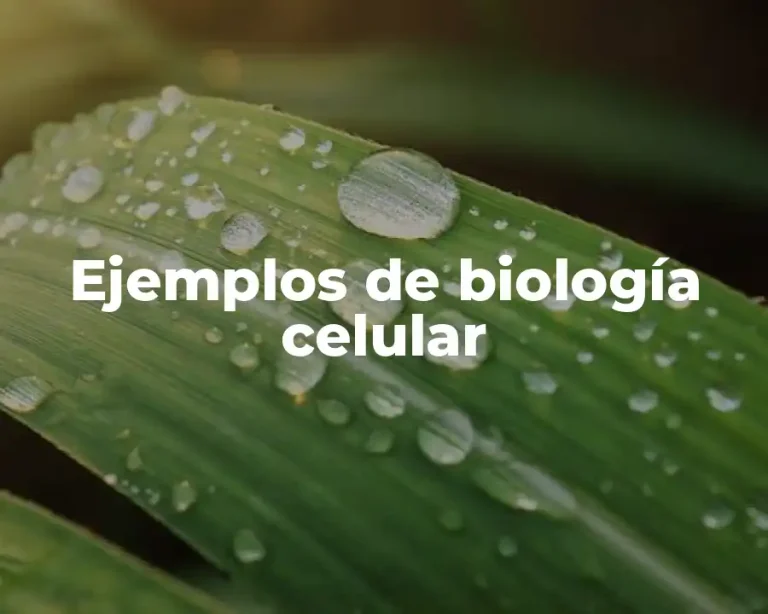 Ejemplos de biología celular