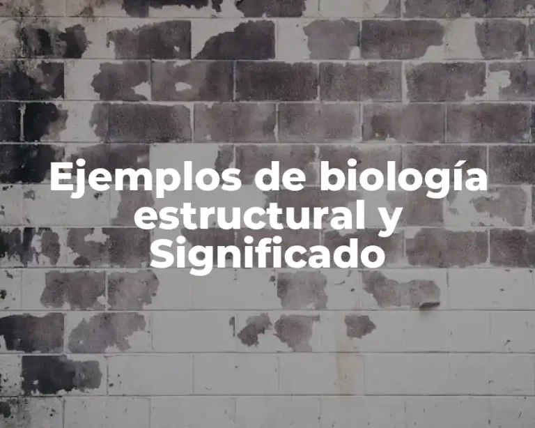 Ejemplos de biología estructural y Significado