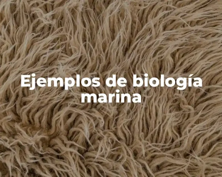 Ejemplos de biología marina
